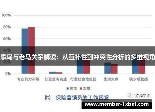魔鸟与老马关系解读：从互补性到冲突性分析的多维视角