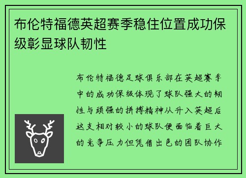 布伦特福德英超赛季稳住位置成功保级彰显球队韧性
